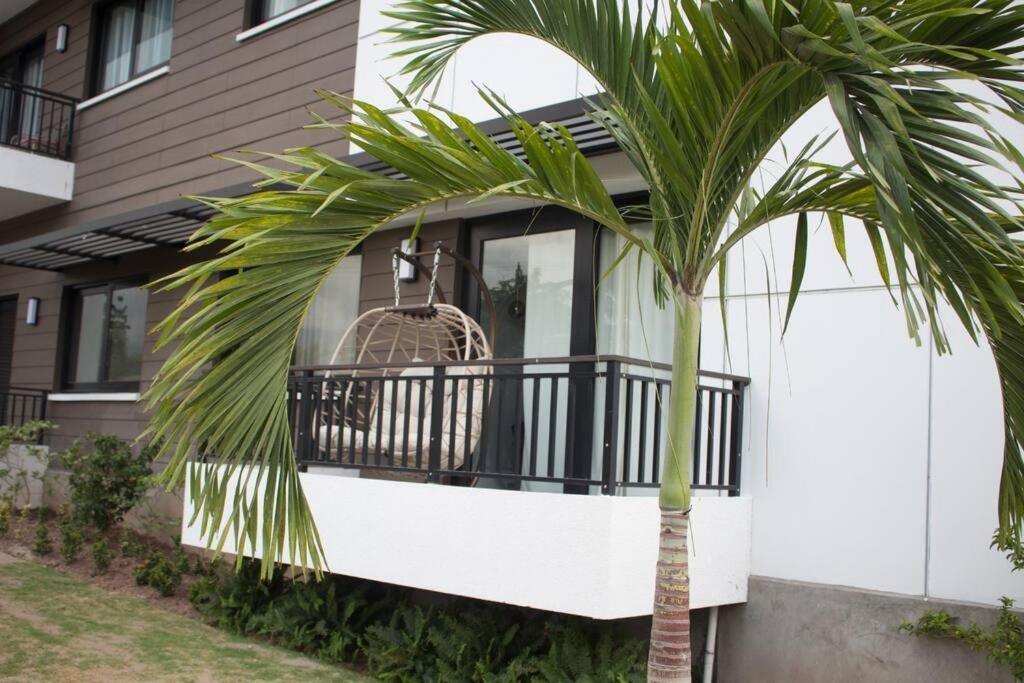 Royalty Suites Kingston Exterior photo